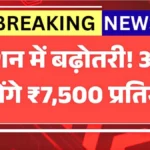 बुजुर्ग, विधवा और दिव्यांगों के लिए खुशखबरी! पेंशन राशि में जल्द बढ़ोतरी होने की संभावना | Pension Scheme 2026