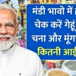 बाज़ार में हलचल! मूंगफली और चना के रेट तेजी से बढ़े, अपनी फसल का ताजा भाव अभी चेक करें | Mandi Bhav Today